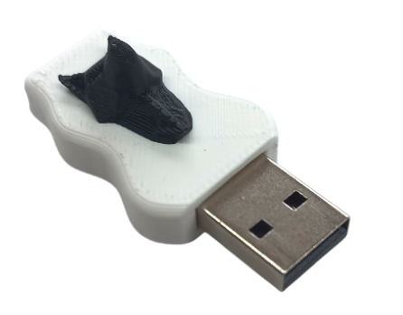 Clé USB personnalisée